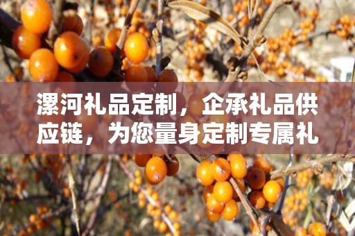 漯河礼品定制，企承礼品供应链，为您量身定制专属礼品